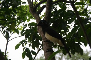 K1600_IMG_0269 
