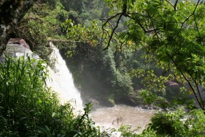 K1600_IMG_0296 