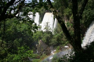 K1600_IMG_0305 