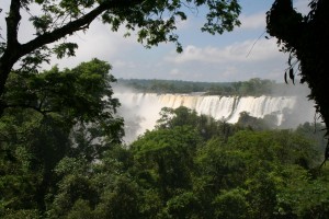 K1600_IMG_0309 