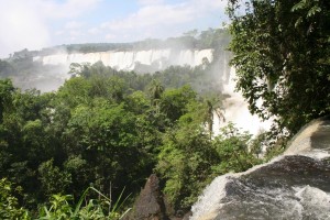 K1600_IMG_0313 