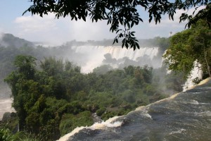 K1600_IMG_0319 
