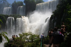 K1600_IMG_0388 