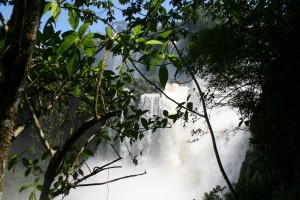K1600_IMG_0392 