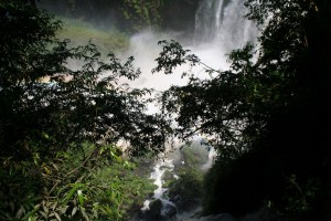 K1600_IMG_0394 