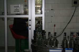 K1600_IMG_0519 