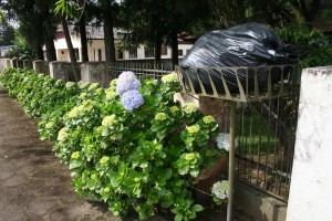 K1600_IMG_0521 
